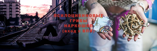 молекула духа Горно-Алтайск