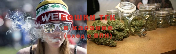 молекула духа Горно-Алтайск