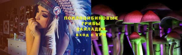 СК Горнозаводск