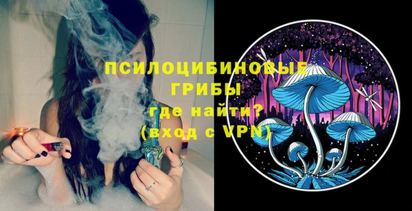 СК Горнозаводск