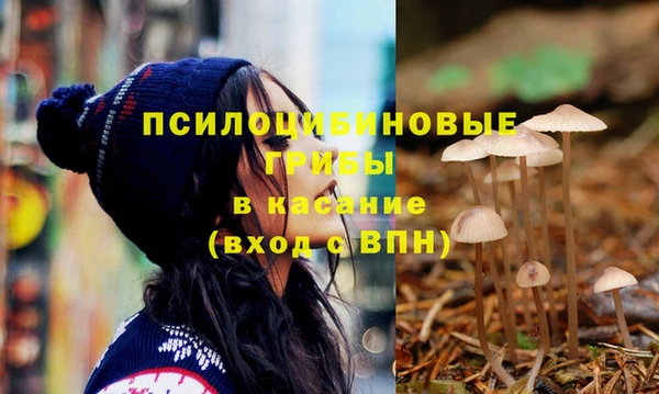 СК Горнозаводск