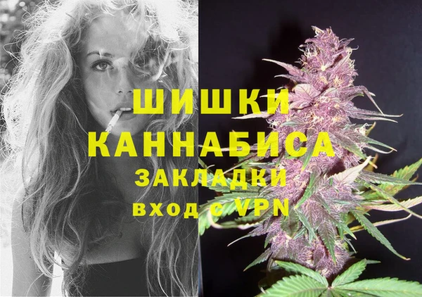 молекула духа Горно-Алтайск