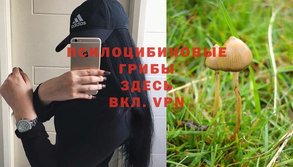 СК Горнозаводск