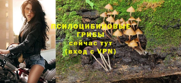 прущий лед Горняк