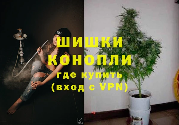 молекула духа Горно-Алтайск