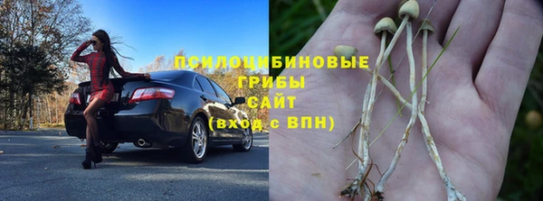 молекула духа Горно-Алтайск
